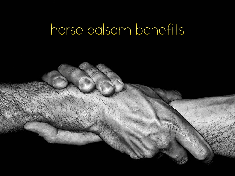horse balsam-horse liniment-horse liniment for humans-horse ointment-horse chestnut extract- horse chestnut benefits