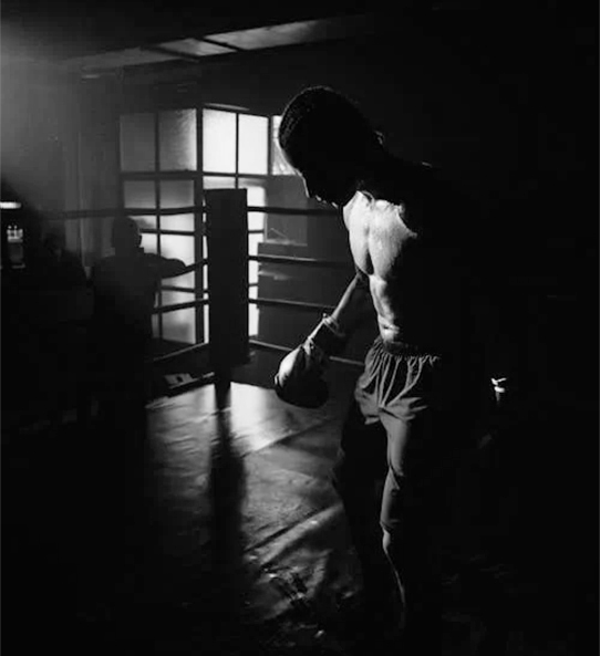 boxer- sports person